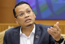 nik nazmi