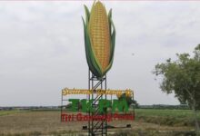 Perak