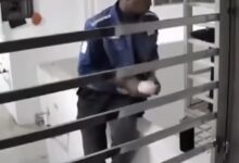 Pakaian dalam