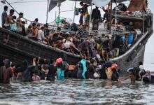 rohingya