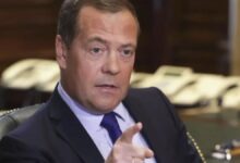 medvedev