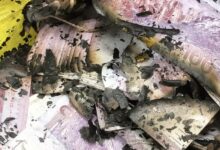 Bakar