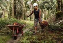 RSPO