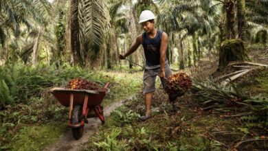 RSPO