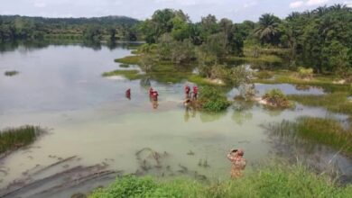 Lemas lombong