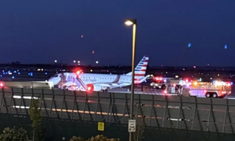 Pesawat American Airlines