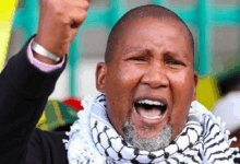 Mandla Mandela