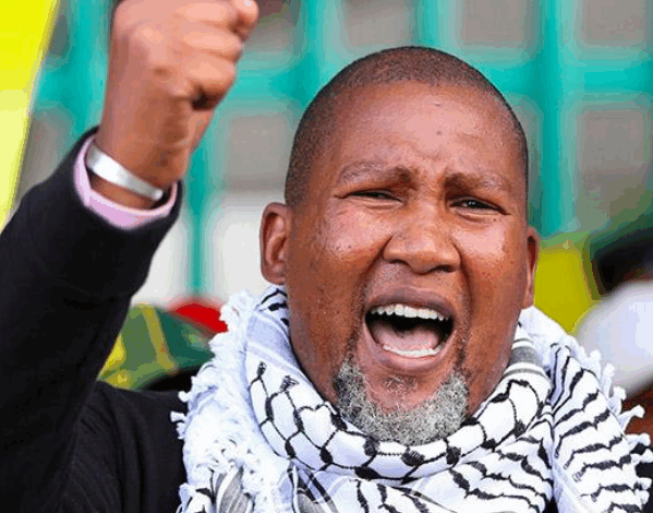 Mandla Mandela