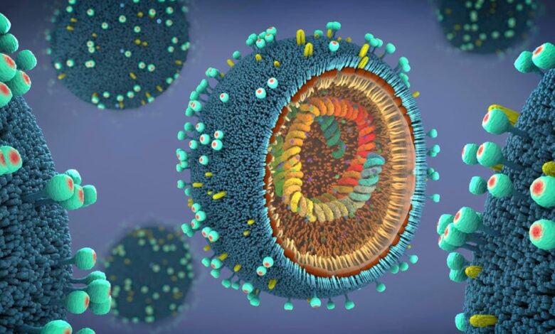 virus