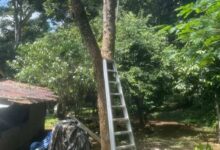 Gantung diri