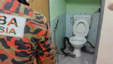 tedung selar