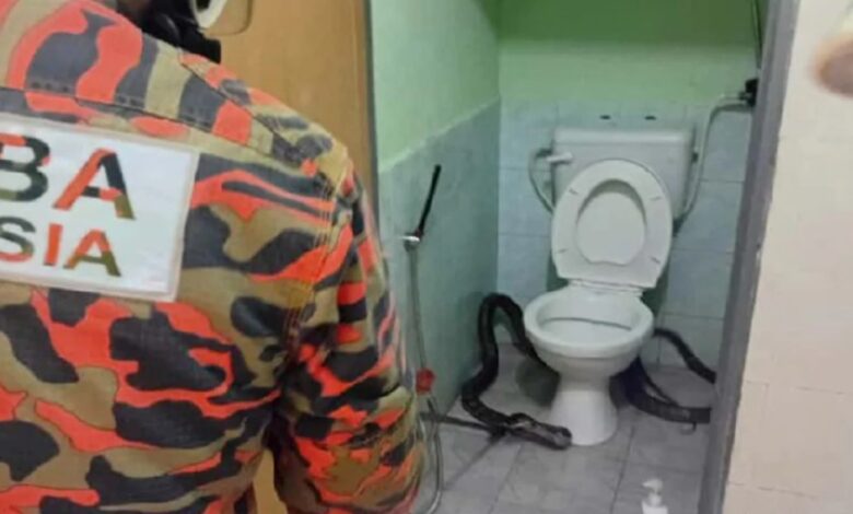 tedung selar