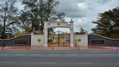 istana arau