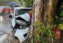 Maut rempuh pokok