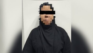 Wanita tipu pelaburan