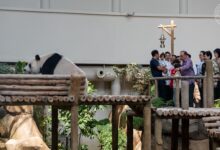 Zoo