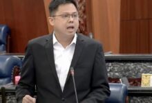 Ahli Parlimen Raub