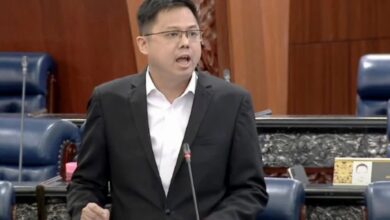 Ahli Parlimen Raub