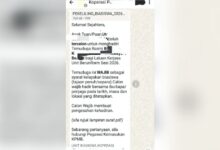 Biasiswa Palsu