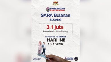 Poster SARA Anwar