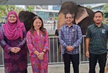 hari terbuka putrajaya 2026