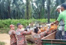 Maut banjir