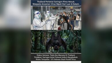 Virus Nipah