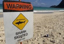 warning
