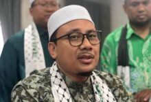 Afnan Hamimi