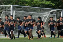 nfdp