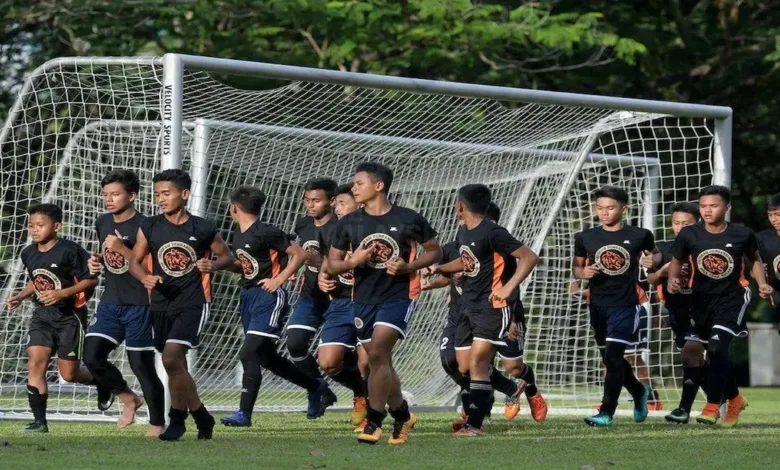 nfdp
