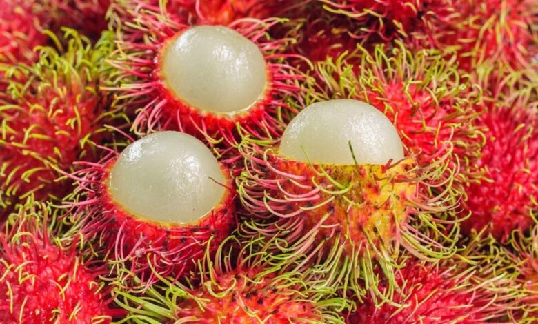 rambutan