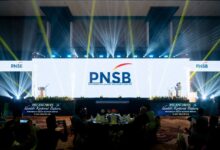 Pnsb