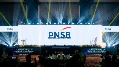 Pnsb