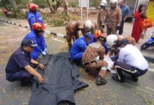 Maut pokok tumbang