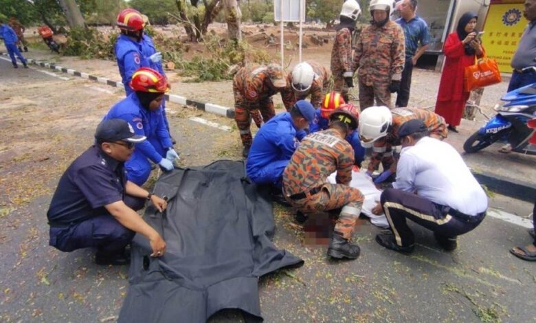 Maut pokok tumbang