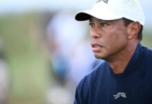 tiger wood
