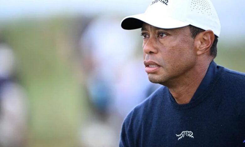 tiger wood