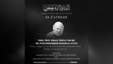 Sultan Pahang Syed Naquib
