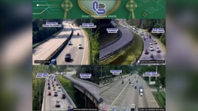 Trafik LLM