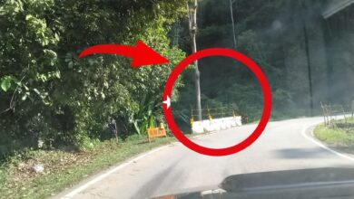 pengahadang jalan
