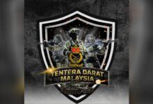 tentera darat
