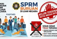 sprm infografik