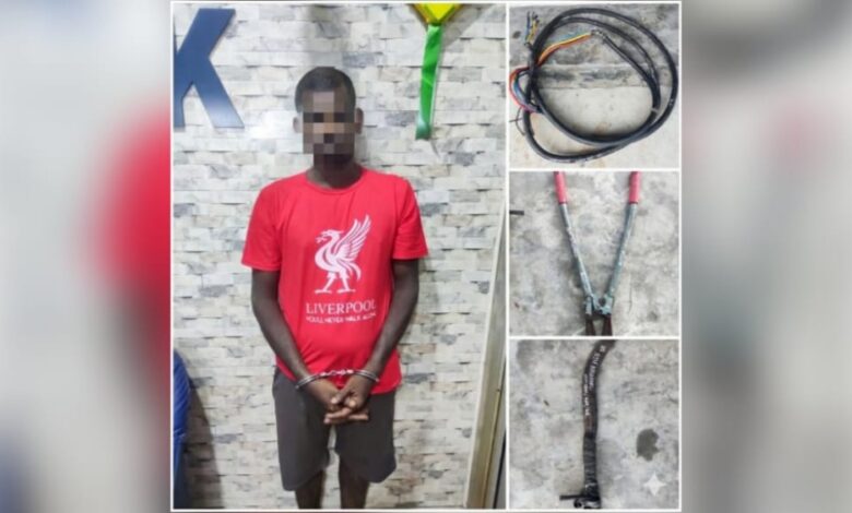 curi kabel