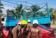 foto bbpm