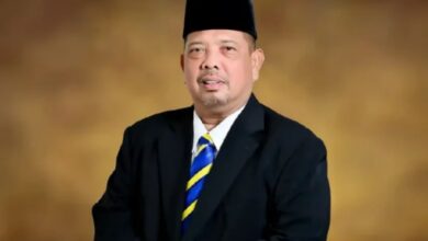 mb perlis