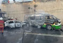 udini penang