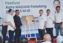 nafaz peladang