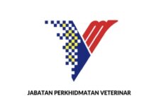 jvp