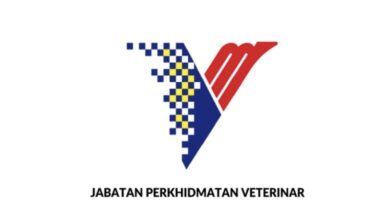 jvp